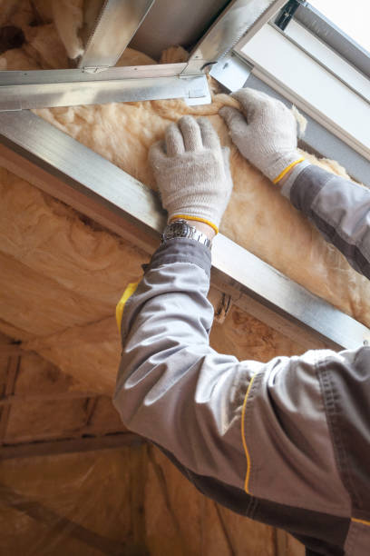 Best Fireproof Insulation  in Cockrell Hill, TX